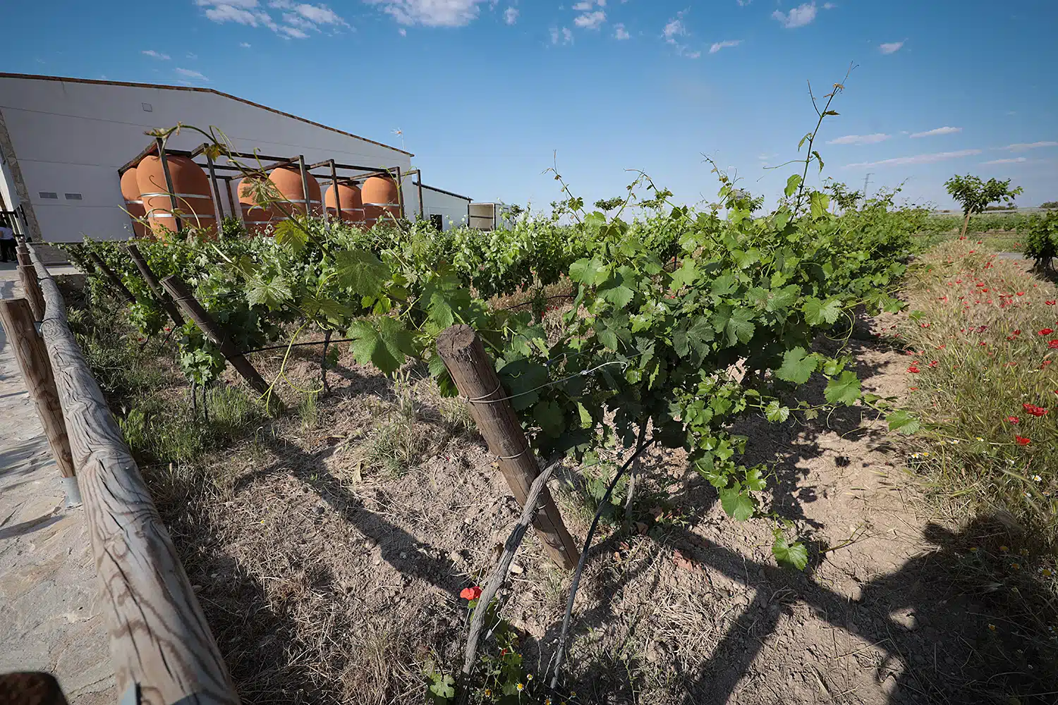 Instalaciones del complejo Reconquista / J.Jurado